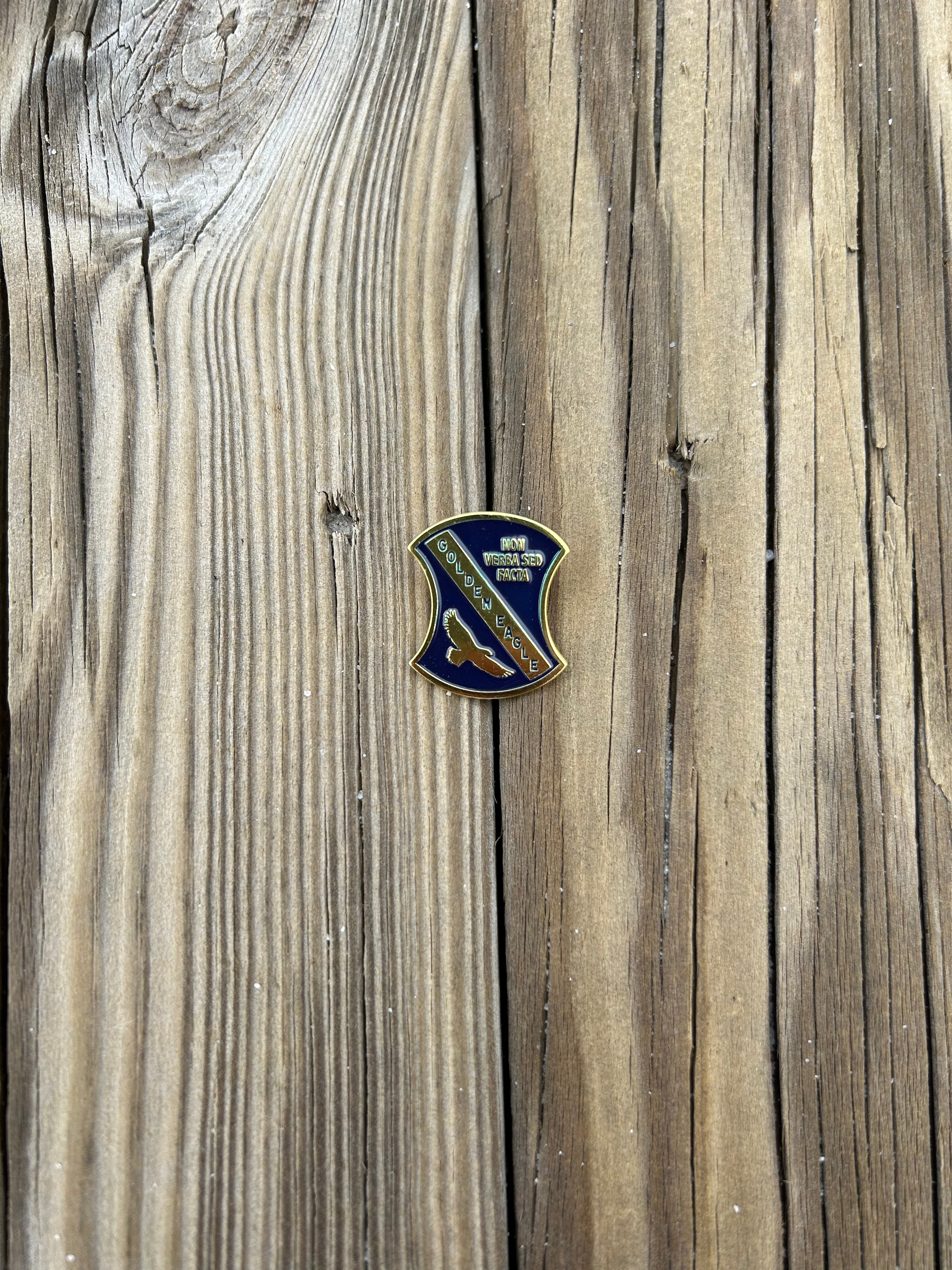 Tribal Pins!